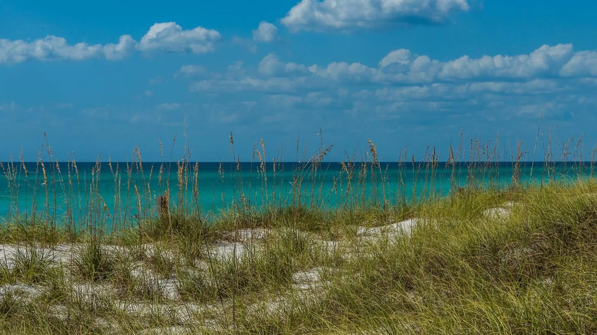 Aqua Resort 1207 By Emerald Coast Retreats Panama City Beach 0*,